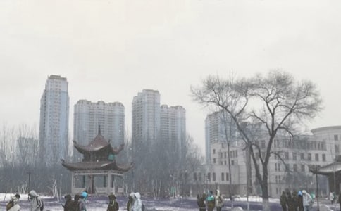 �Lѩ�е���������