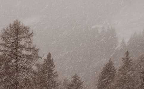 風(fēng)雪回家路作文