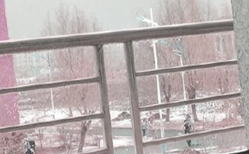 (實用)暴風雪作文11篇