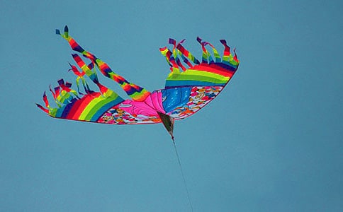 放風箏作文【精品11篇】