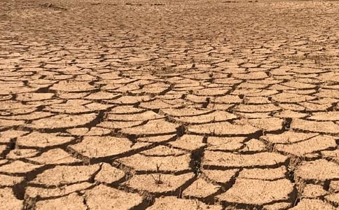 (精選)關于干旱的作文5篇