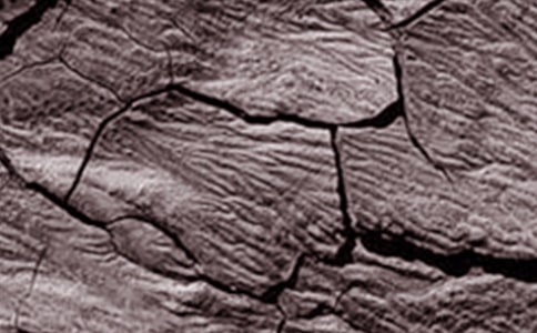 �ɺ���ˮ��(ji��n)��(b��o)(10ƪ)