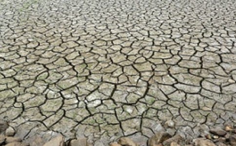 �|�ρ��؅^�ļ��L����������2005����ĸɺ���Ӱ�