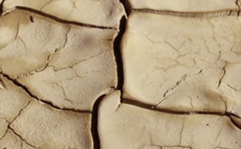 ᘌ��G���ɺ��B�o���������x7ƪ��