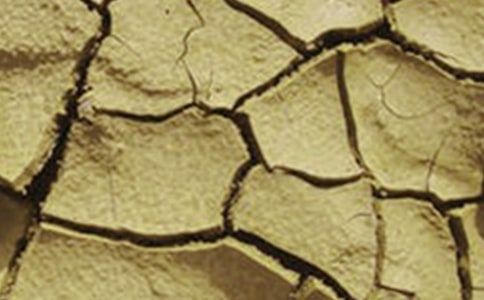 關于干旱的小河的作文