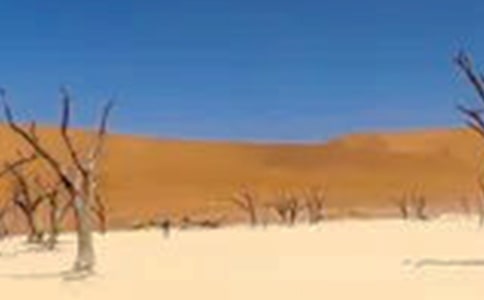 �P�ڸɺ������ģ��������һֻ�B�����ĸ��룩