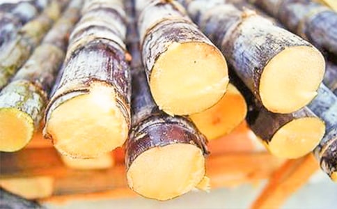 【薦】甘蔗的作文3篇