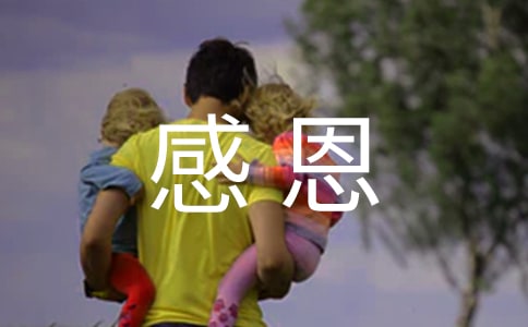 感恩父母作文集錦(14篇)