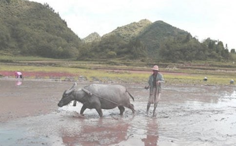 ͯȤ����ţ�ā�������w��ë�����ͺ��������Pѩ���W�\����ԭ֮������ٝ(��һ����)