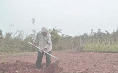 ϲ����Ĺ���-ӛɽ�|ʡ�T���������(zh��n)�r(n��ng)�C(j��)����܊