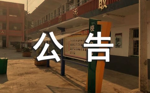 債權轉讓公告匯總(11篇)