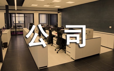 (���A)��˾�������淶��