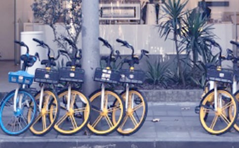 共享單車的自述作文(共7篇)