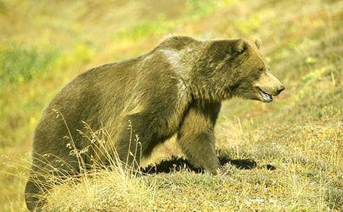 �Ђ����ܵ�����Ӣ������