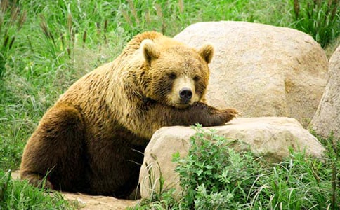 �Ђ���������Ӣ������4ƪ