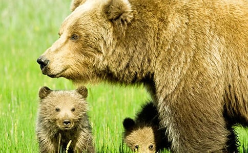 �Ђ�(g��)��������Ӣ������(4ƪ)