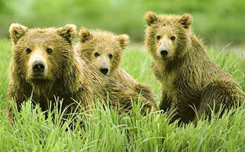 ����200������