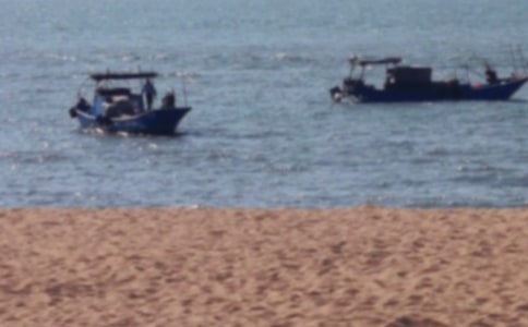 鼓浪嶼之行作文