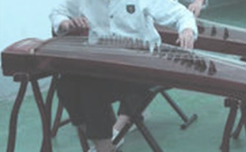 關于古箏的作文(精華)