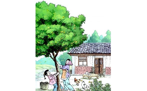 (��)�����꡷�n��15ƪ