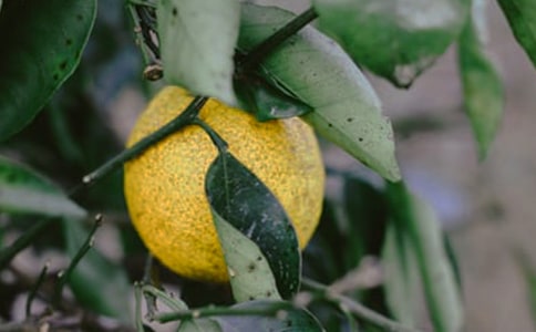 [�؂�]���@��������400��3ƪ