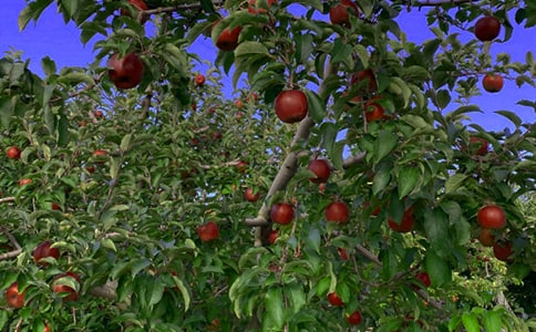 ���@�������ģ����x20ƪ��