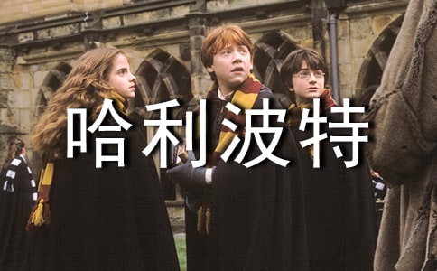 (��)���������x���