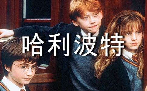 我和哈利波特過一天作文