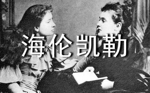 �����P����������