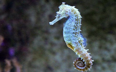 늴̼��T�������R�d�B늾W�j����Ϣ����