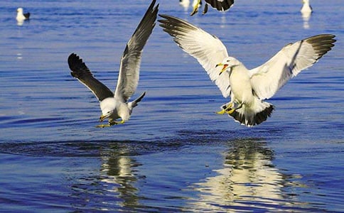 Ҋ�����t�����f�f190��