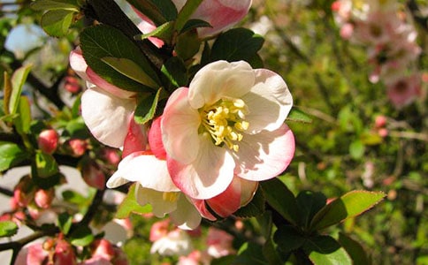 ������ѹʈ@���Ķ��ס���ԭ�ļ��p��