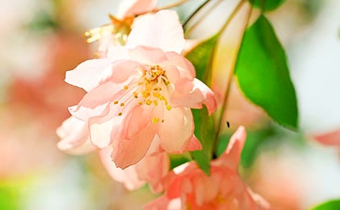 ���ģ�����