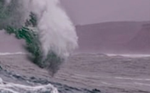 海嘯優秀作文(通用25篇)