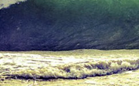 海嘯館體驗作文450字