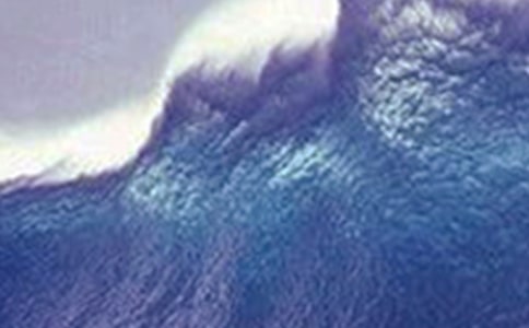 給海嘯災(zāi)民的一封信