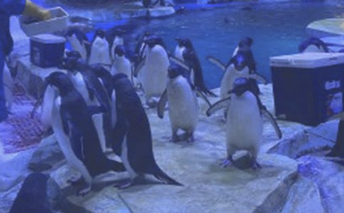 ���󹫈@��ӛ����