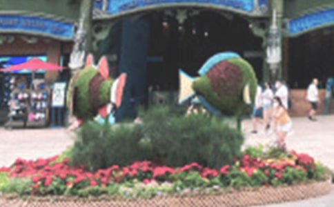 老虎灘海洋公園作文(通用16篇)