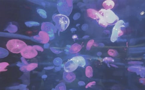 ����ۺ��󹫈@��������600��