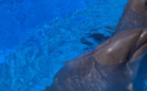 [��(j��ng)��]���������15ƪ