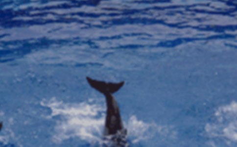 ��ϲ�g��������