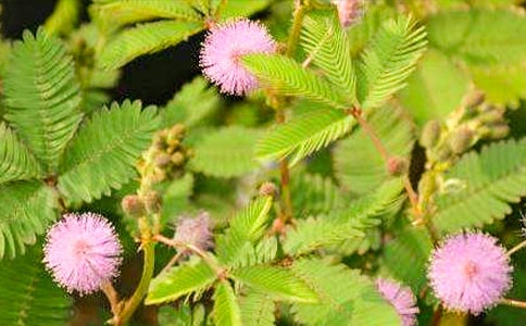 ���߲����ľ�Ʒ(15ƪ)