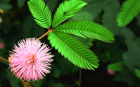 ���߲����ġ����T��