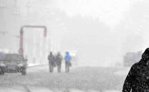 防寒潮方案(精選5篇)