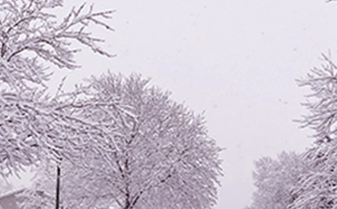 寒潮來了作文(精選11篇)