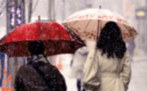 �����������L�O����⌍ʩ���������x11ƪ��