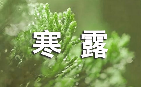 寒露的詩句【范例15篇】
