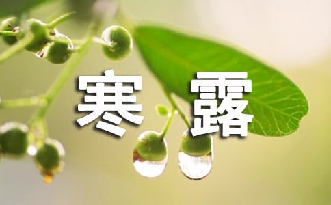 關于寒露節氣的詩句