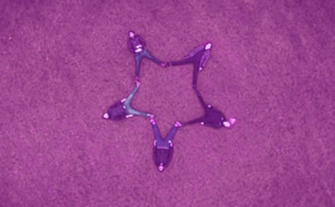 �ͽo�H������P��ף������