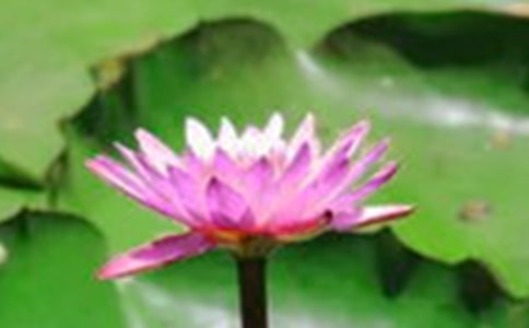 �茑�ɻ���Ԋ�伯�\15ƪ